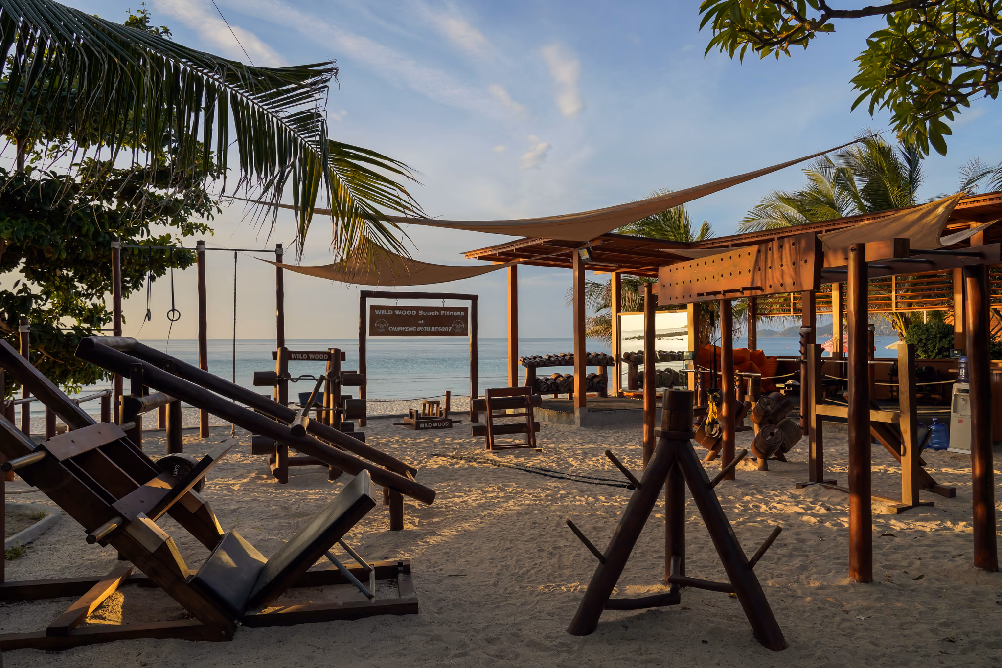 Wild Wood Beach Fitness — handcrafted wooden gym equipment on the sand under trees